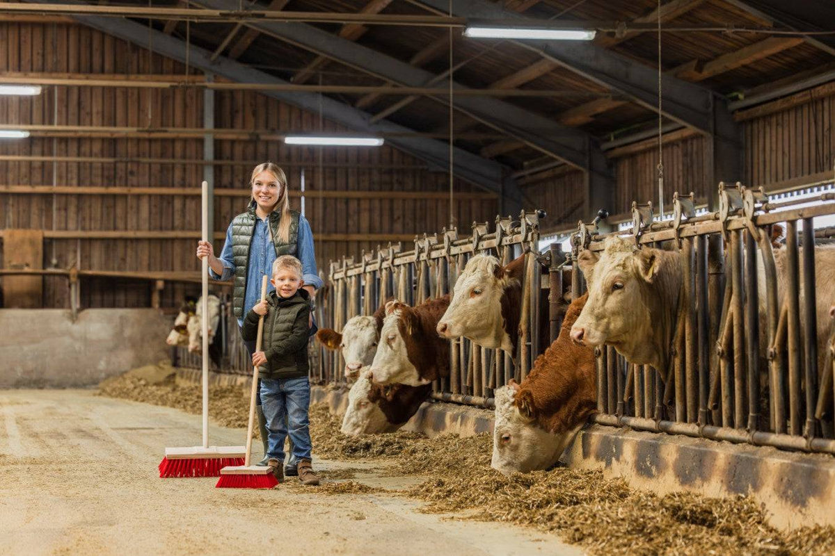 Straßenbesen mit Stiel Mini im Einsatz durch Kinder im Kuhstall, perfekt für spielerisches Lernen und Mithilfe im Haushalt.