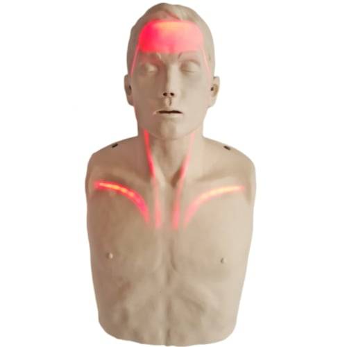 Brayden Reanimationsmodell mit roten LEDs zeigt Blutzirkulation und Kompressionen für realistische Erste Hilfe Ausbildung.