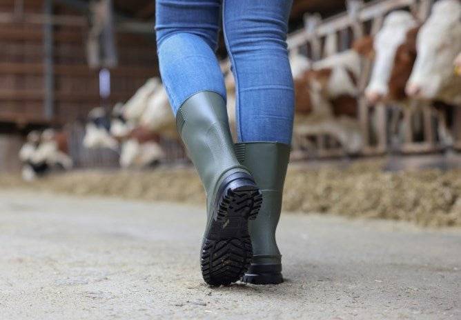 Arbeitsstiefel PVC nora IDRO LOW - Medasi.shop - 347759
